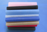 道真涤纶（PET）无纺布是什么